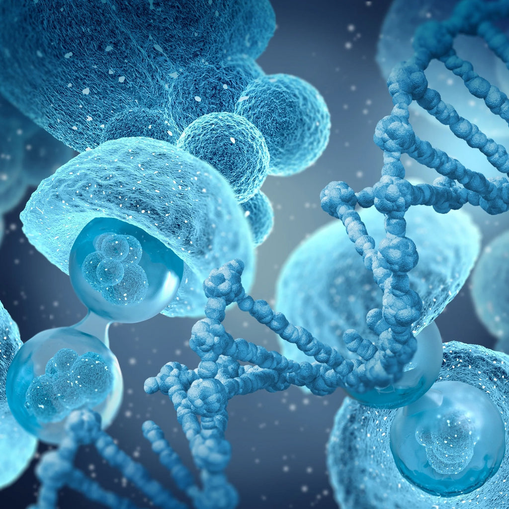 The Power of NAD+ and NR: Unlocking DNA Repair for Younger, Healthier Skin & Anti-Aging